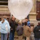 Mensch und Natur am Karls-Gymnasium Stuttgart | Humanistisches Gymnasium mit Hochbegabtenzug